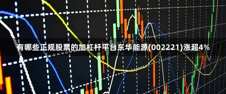 有哪些正规股票的加杠杆平台东华能源(002221)涨超4%
