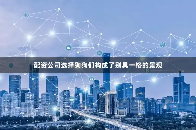 配资公司选择狗狗们构成了别具一格的景观