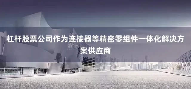 杠杆股票公司作为连接器等精密零组件一体化解决方案供应商