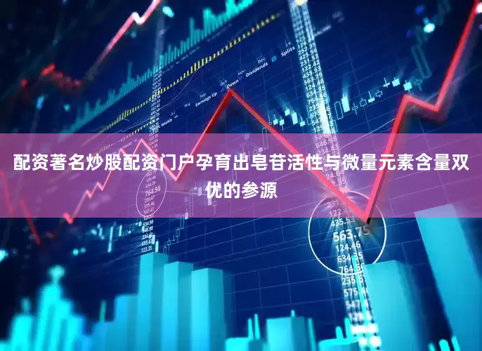 配资著名炒股配资门户孕育出皂苷活性与微量元素含量双优的参源